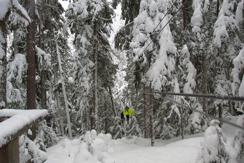 5d1de7a2ceb67andrea whistler ziptrek ecotours