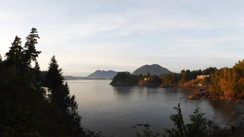 10 Things to Do in Tofino