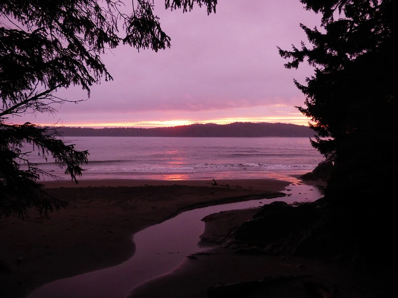 5d1de7aed73e6tofino sunset