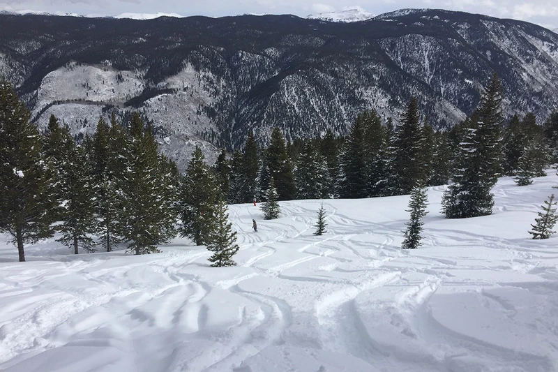 5d1de7b21de08aspen snowcat chris luke meadow