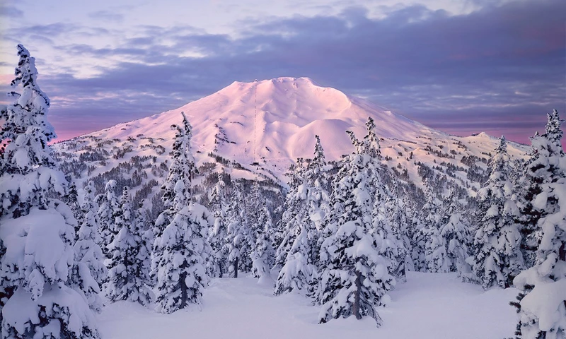5d1de7bd6a8d6mt bachelor oregon credit mike putman
