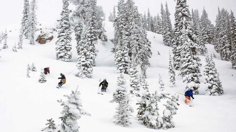 5d1de7c73b7afpowder mountain pow day credit ian matteson