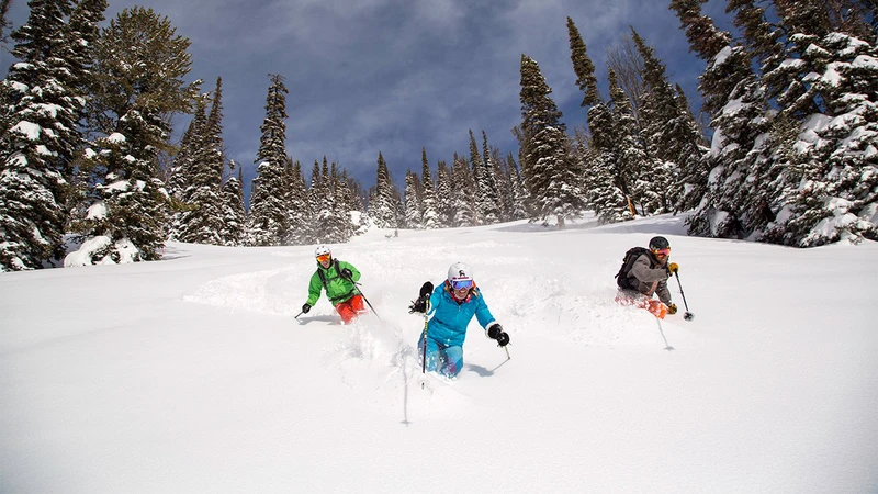 5d1de7f0d289cjh ski powder 18 0