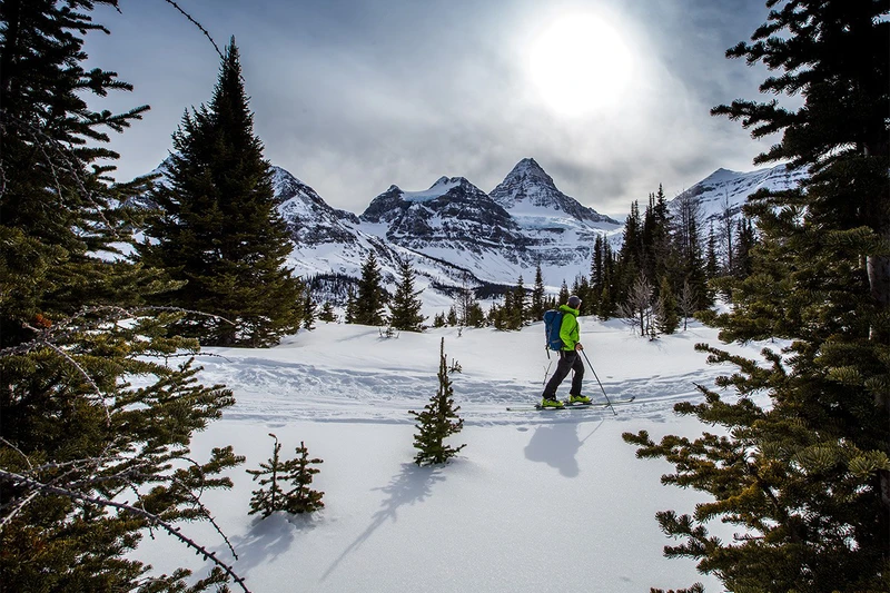 5d25b63a8191falberta ski touring 5