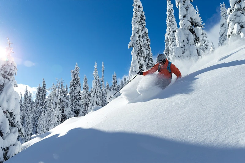 5d25baa719c02big red cats bluebird powder