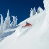 Big Red Cats - Steep And Deep