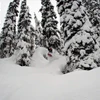 5d25baa822630sean k3 cat ski