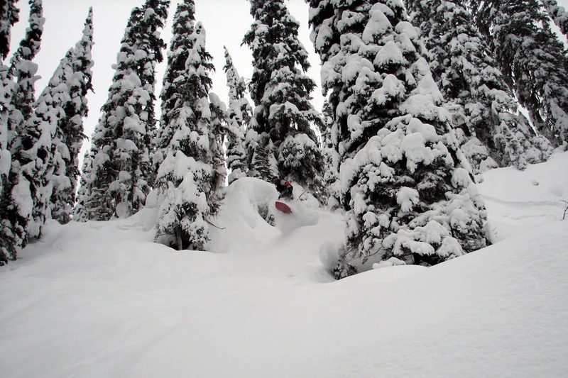 5d25baa822630sean k3 cat ski