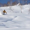 Niseko Weiss Powder Cats