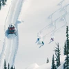 Valhalla Powder Cats © Geoff Holman