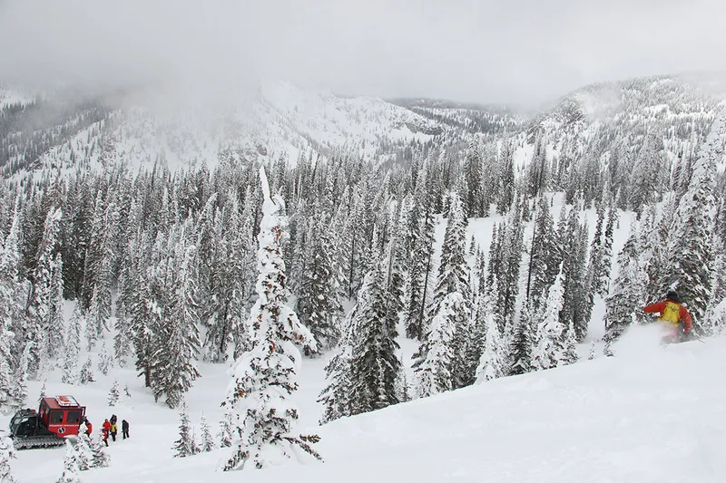 Skier And Cat - Steamboat Powder Cats