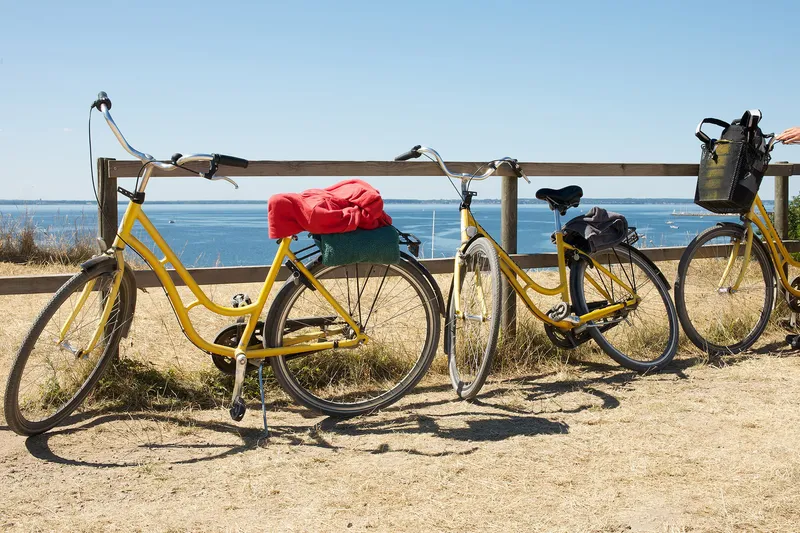 5d25d35d6231cfreedom treks arty yellow touring bikes beach min