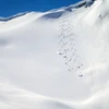 5d25f33201f99whistler heli skiing s turns credit paul morrison