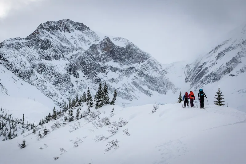 Alberta Ski Touring