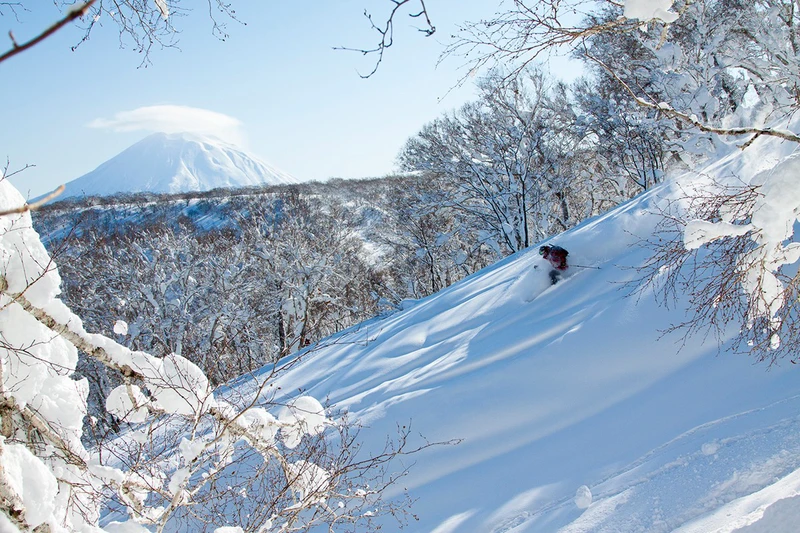 5d2710b4e00e2niseko pow trees yotei credit niseko promotion board