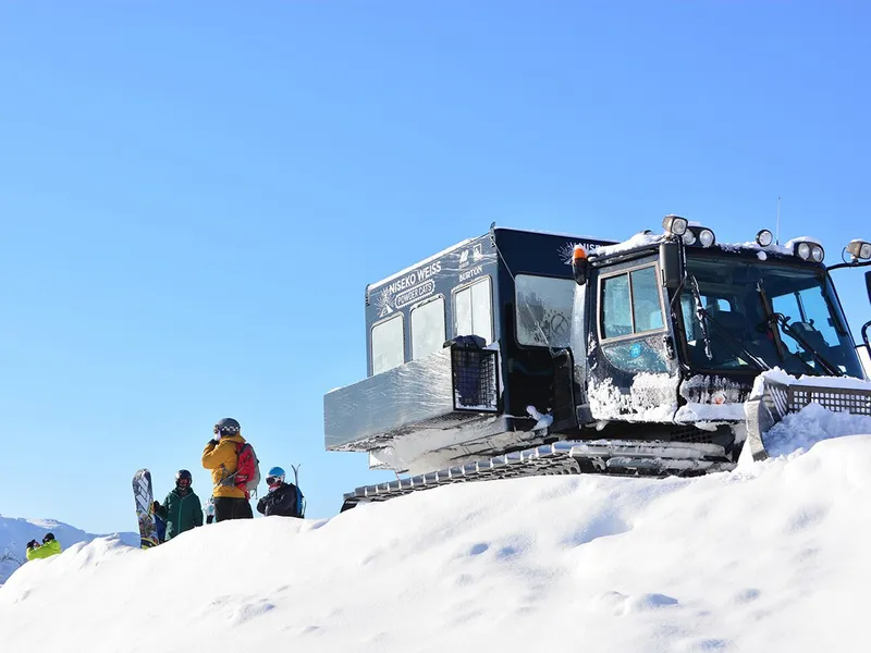 Niseko Weiss Powder Cats