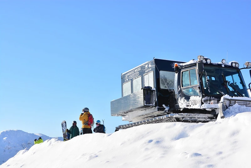 Niseko Weiss Powder Cats