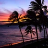 Hawaii Sunset