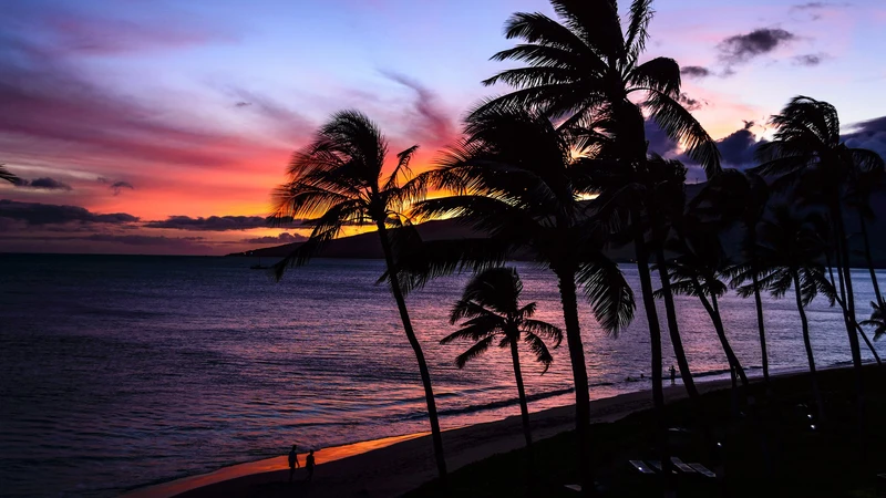 Hawaii Sunset