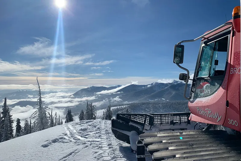 5d7a57ee2e0909 Big Red Cats resized min