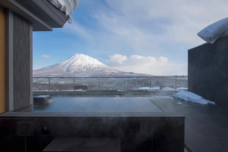 5dfa294b7e435 AYA Niseko Penthouse A 1