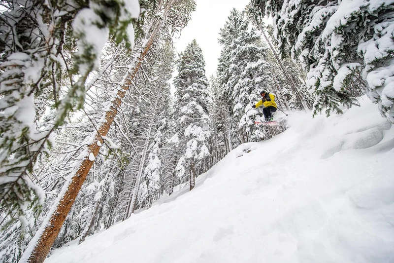 Vail Powder 15 December © Tomas Cohen