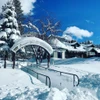 Forest Suites Resort - Exterior in Winter