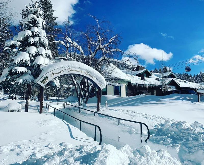Forest Suites Resort - Exterior in Winter
