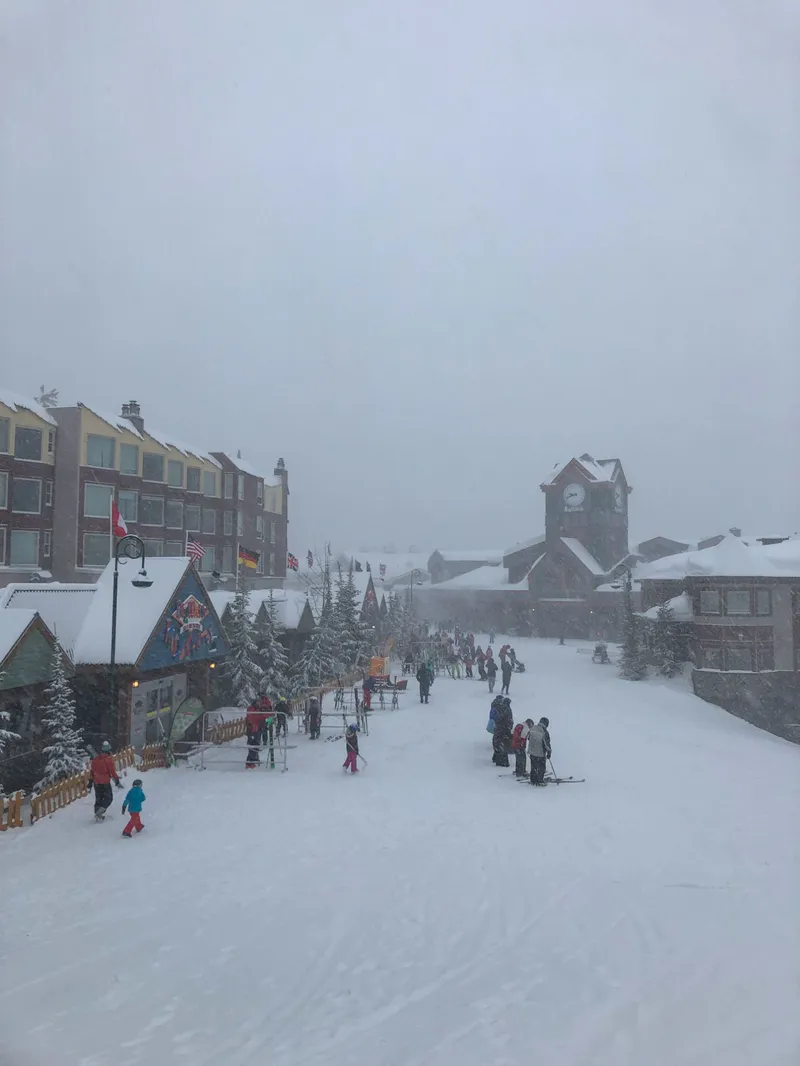 5e1f46d5dd770 Big White in a Snowstorm