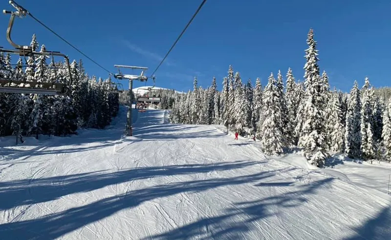 Alison Shepherd - Trysil