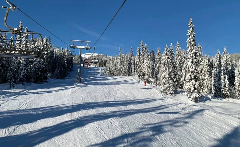 Alison Shepherd - Trysil