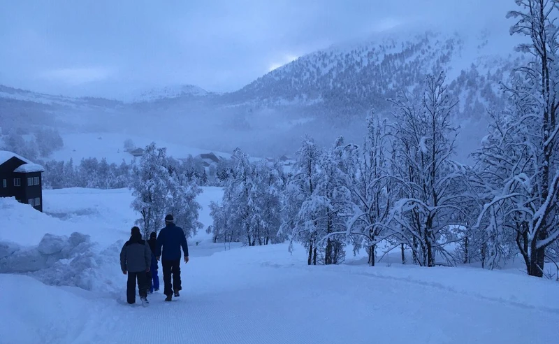 Helen Ahlheid - Myrkdalen