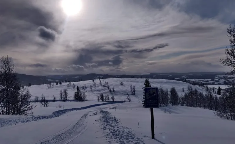 Antonia Branston - Beitostolen