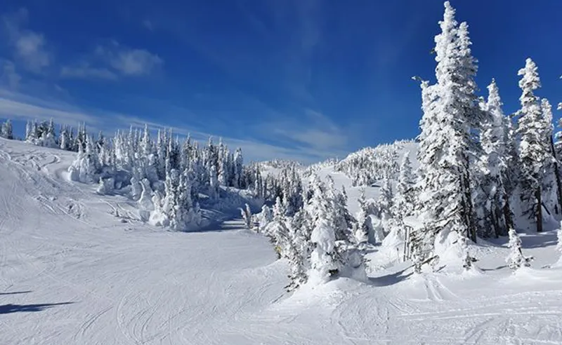 Phil Wilson - Sun Peaks - 25 Feb 2020