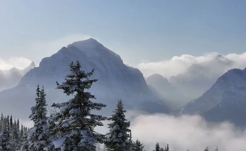David Bradley - Lake Louise Mount Temple