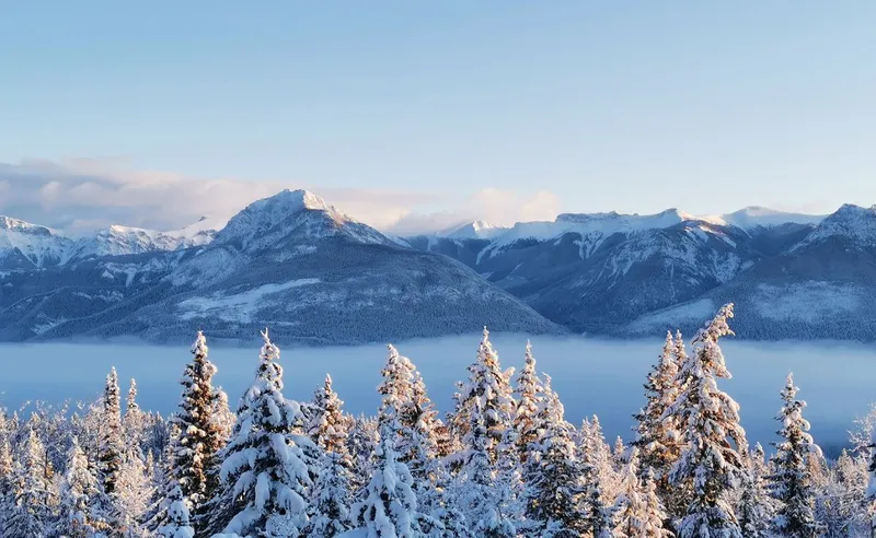 David Bradley - Kicking Horse Room View