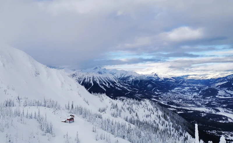 David Bradley - Snowy Fernie