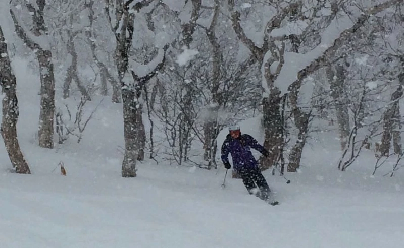 Mark Bicknell - Japan