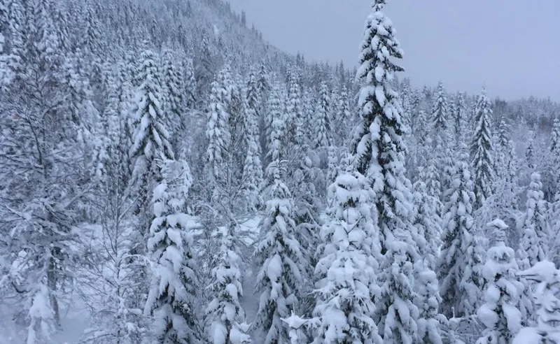 Trudy Wilkes - Trysil - 27 Dec 2017