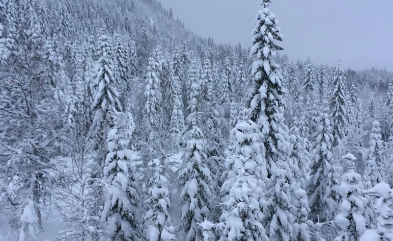 Trudy Wilkes - Trysil - 27 Dec 2017