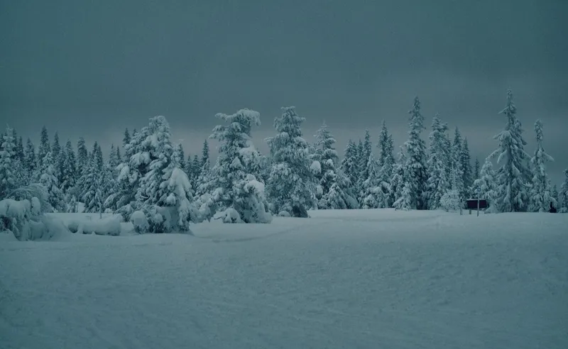 Tobias Lloyd - Trysil - 10 Feb 2018