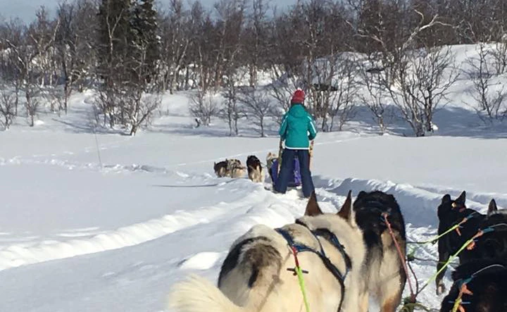 Claire Cotton - Geilo - 17 Feb 2018
