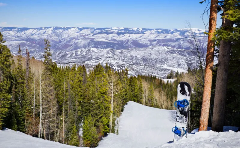 David Button - Snowmass - 21 Feb 2018