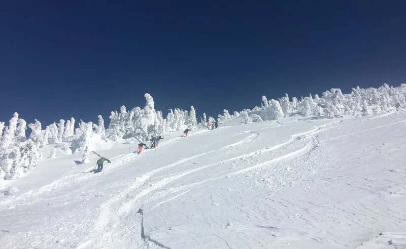 Andrew Neal - Revelstoke - 27 Feb 2018