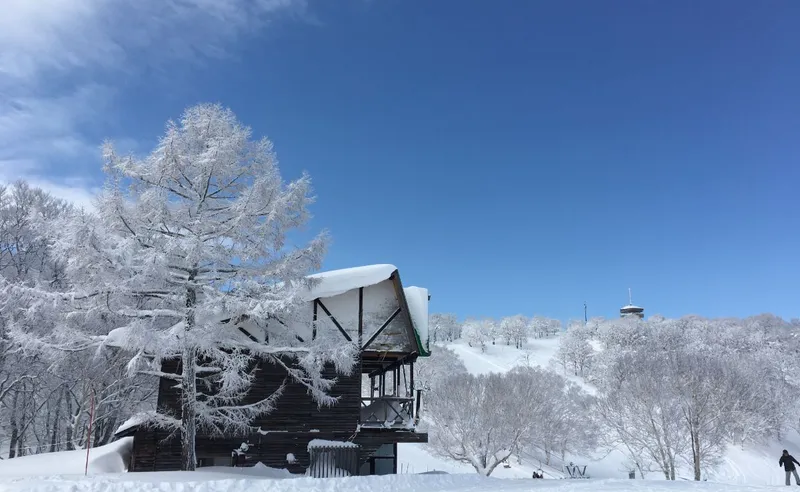 Pamela Evans - Nozawa Onsen - 17 Feb 2018