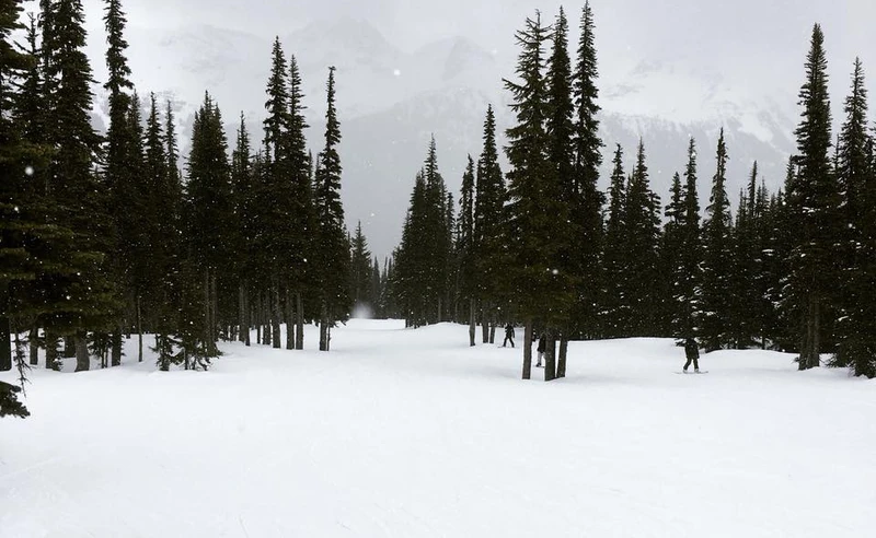 Gabriella Manning - Whistler Vancouver - 14 March 2018