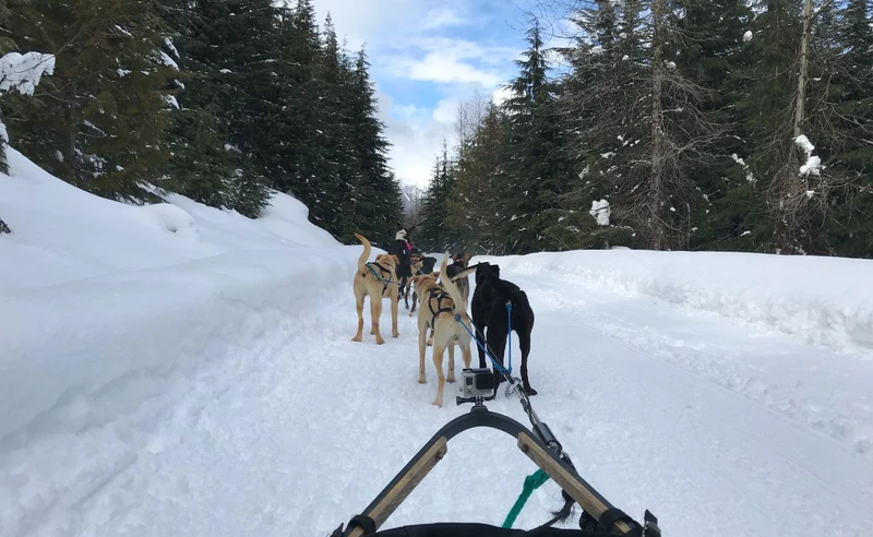 Wendy Cook - Whistler - 24 February 2018