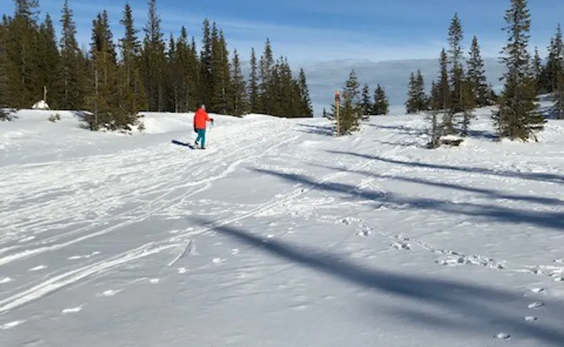 Andrew Kelly - Åre - 02 April 2018
