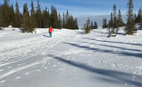 Andrew Kelly - Åre - 02 April 2018