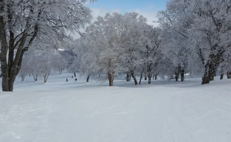 Michelle Hird - Nozawa Onsen - 03 March 2018